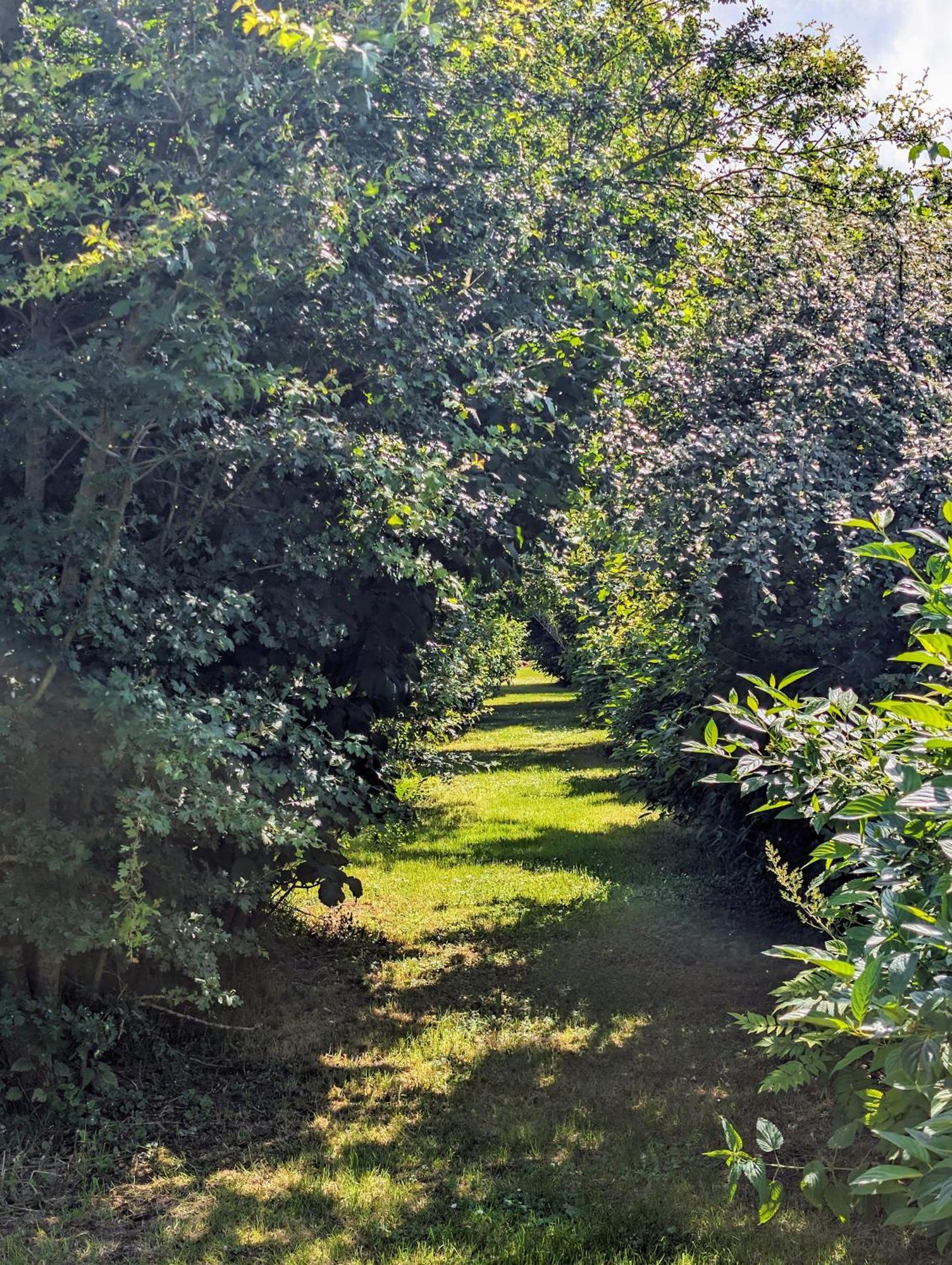 Le Relais Du Beffroi & Spa Saint-Riquier Eksteriør billede